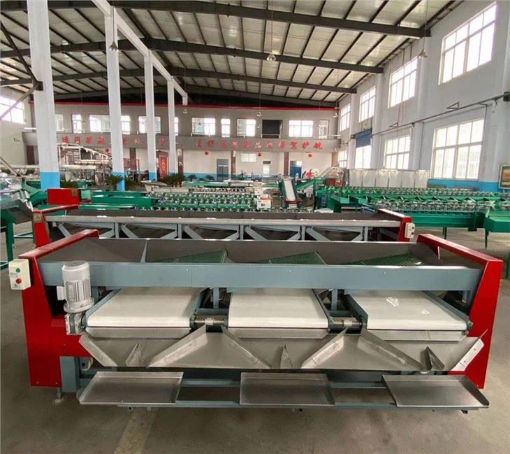 Cherry Grading Machine