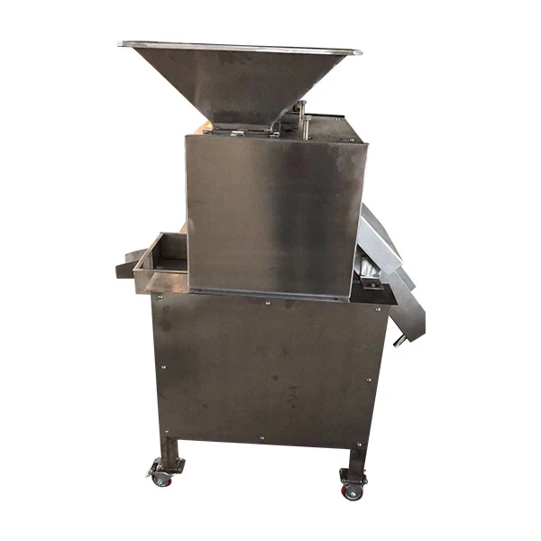 Citrus Juice Making Machine