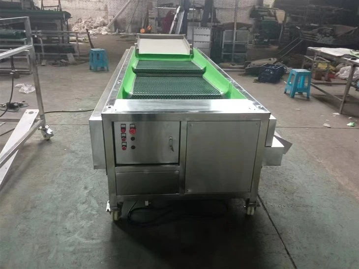 Blueberry Sorting Grading Machine
