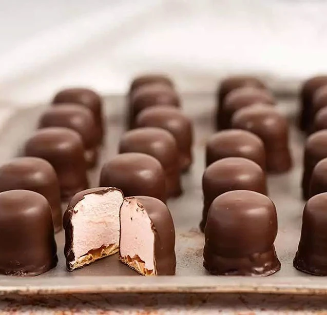 chocolate covering machine (2)