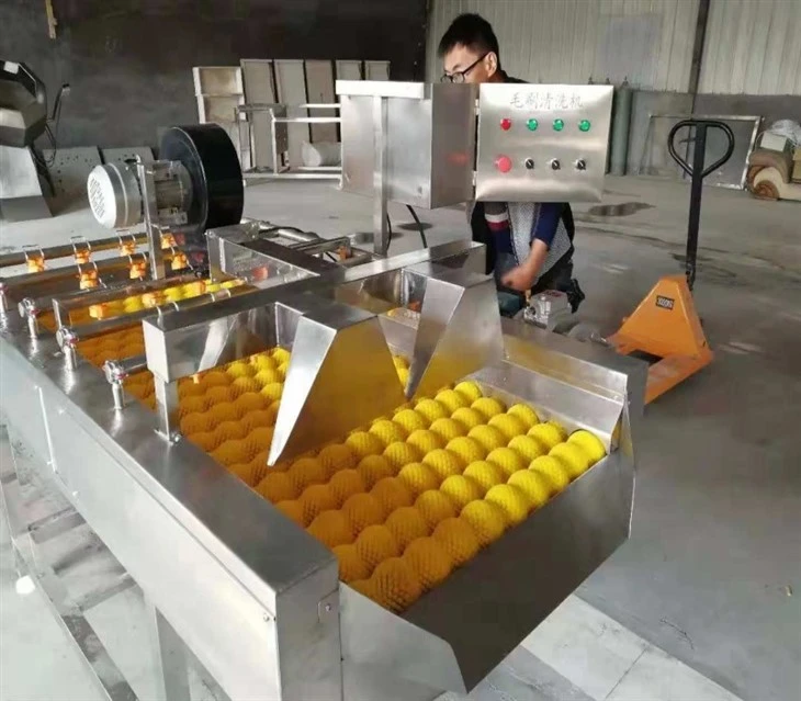 Lemon Fruit Air Drying Machine
