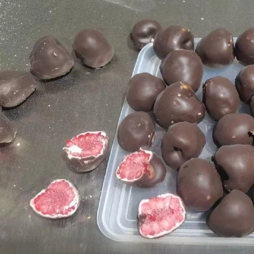chocolate covering machine 1 chocolate covering machine 1