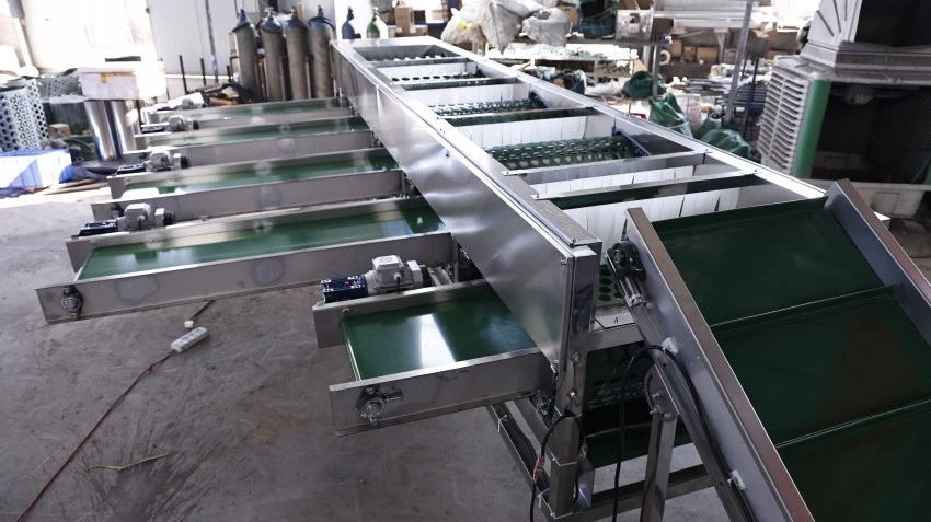 Mushroom Sorting Machine Mushroom Sorting Machine