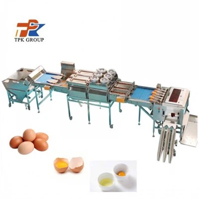 Автоматическая линия для панировки яиц