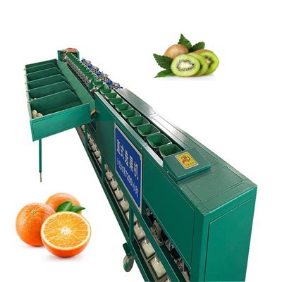 Машина для сортировки фруктов авокадо