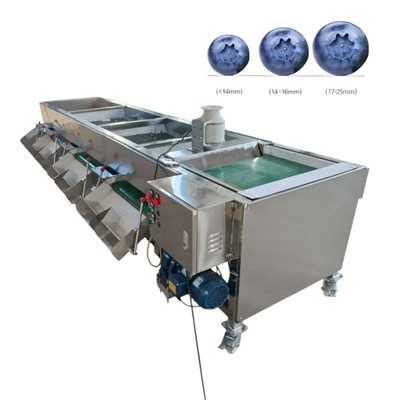 Машина для сортировки фруктов Blueberry Grader