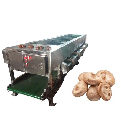 Машина для сортировки фруктов и грибов